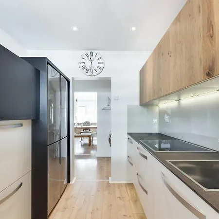 Amazing In Downtown Apartment Maribor